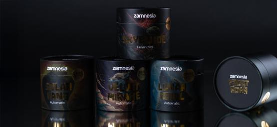 TRIBE na Zamnesia: Cultive o raro, o audaz, o lendário