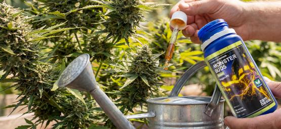 Maximiza o crescimento com Monster Buds: uma gama completa de fertilizantes para cada fase de cresci