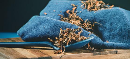 Wild dagga: Um euforizante suave