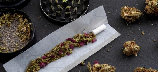 Top 10 alternativas ao tabaco para charros