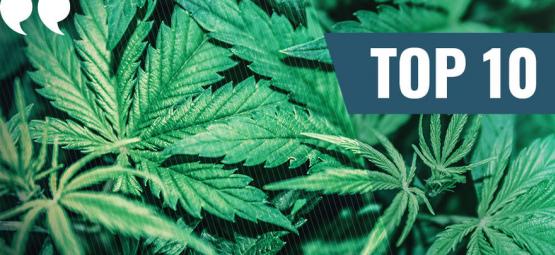 Top 10 melhores citações sobre marijuana de sempre