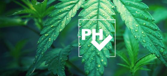 Como ajustar o nível de pH ao cultivar canábis