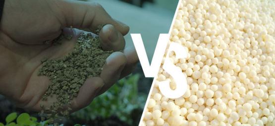 Qual a diferença: fertilizante sintético vs. fertilizante natural