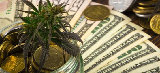 Cannabis e a economia americana