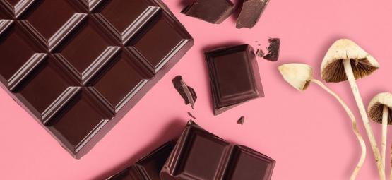Como preparar chocolate com cogumelos mágicos