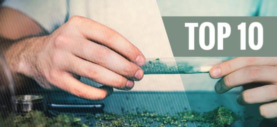 Top 10 razões para deixar o tabaco e fumar apenas canábis