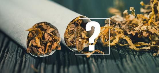 Tabaco: amigo ou inimigo?