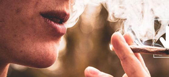 Tolerância ao cannabis: o que é e como reduzir