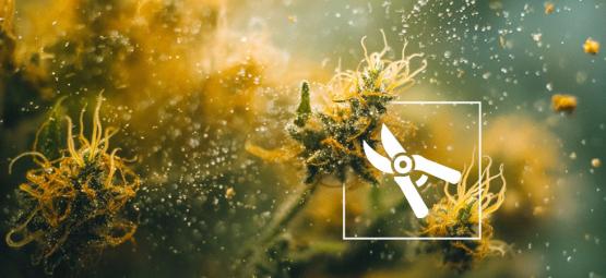 As 6 melhores formas de fazer hash