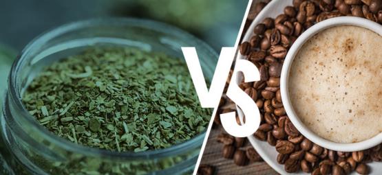 Yerba maté vs. café: deve mudar de bebida?