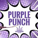 Purple Punch: Sabor, pot&ecirc;ncia e beleza&mdash;tudo num s&oacute;