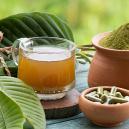 Depend&ecirc;ncia e abstin&ecirc;ncia do kratom