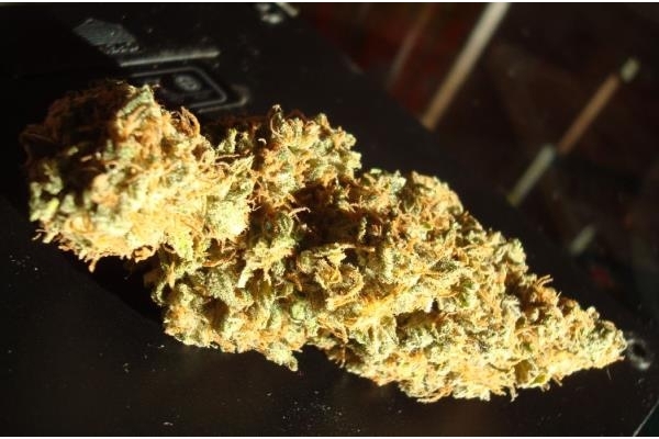 Power Flower (Royal Queen Seeds) feminizada