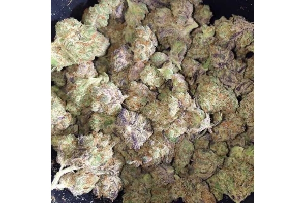 Blueberry Autoflorescente (Zamnesia Seeds) feminizada