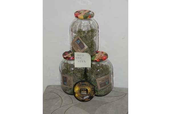 King's Kush Autoflowering (Greenhouse Seeds) feminizada