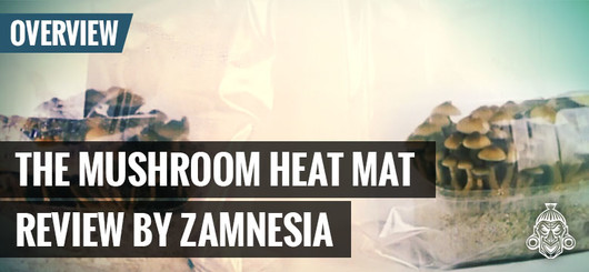 Tapete de aquecimento para cogumelos da Zamnesia